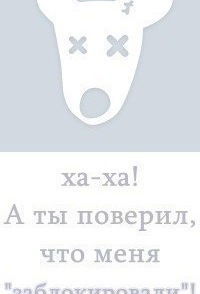 Амирхан Яхин