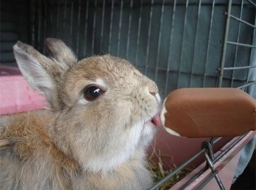 Ольга Булычева