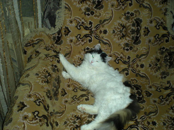 Наталия Смышляк