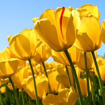 Райгул Бисенбиева