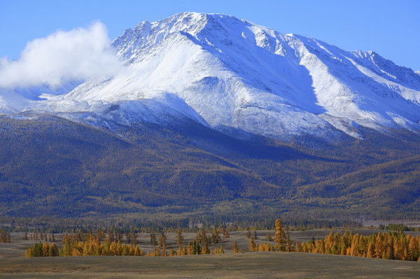 Гузель Мирзабалаева