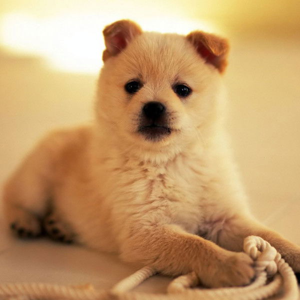 Юля Явдошляр