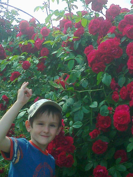 Дмитрий Боченков