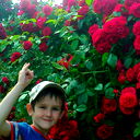 Дмитрий Боченков