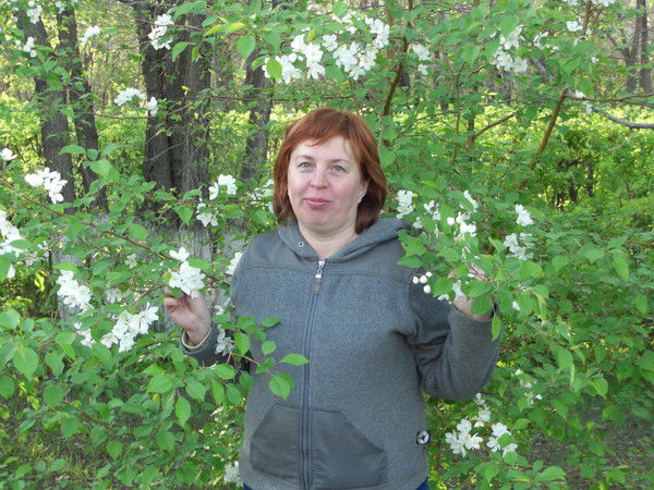 Елена Власенко