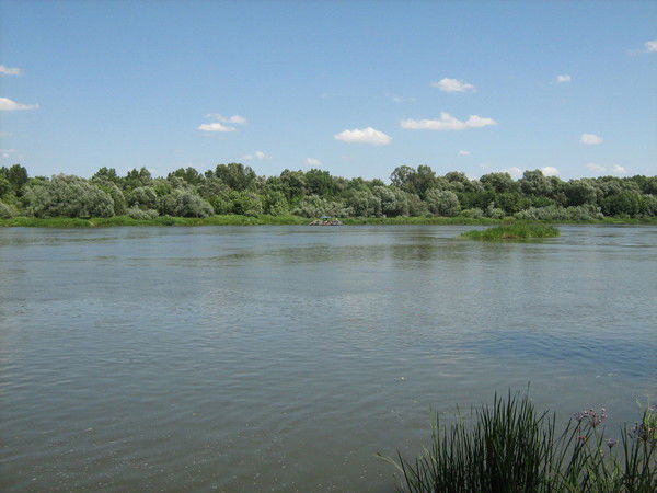 Ольга Разуваева