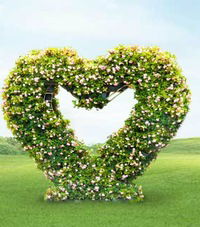 Марина Рачинская