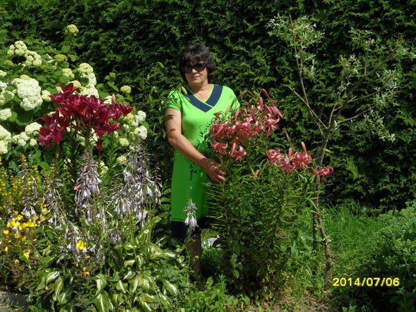 Нина Шостак