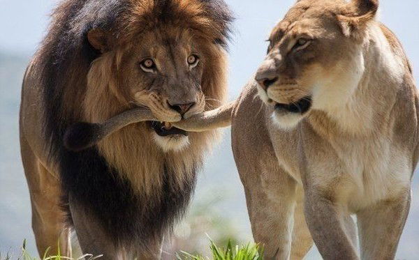 Супьян Курбанов