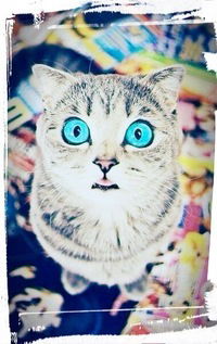 Катя Холстинина