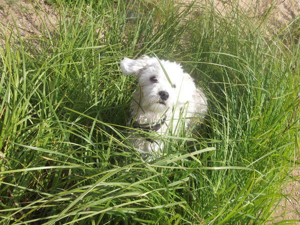 Татьяна Ворожцова