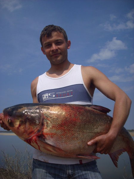 Алексей Ампилогов