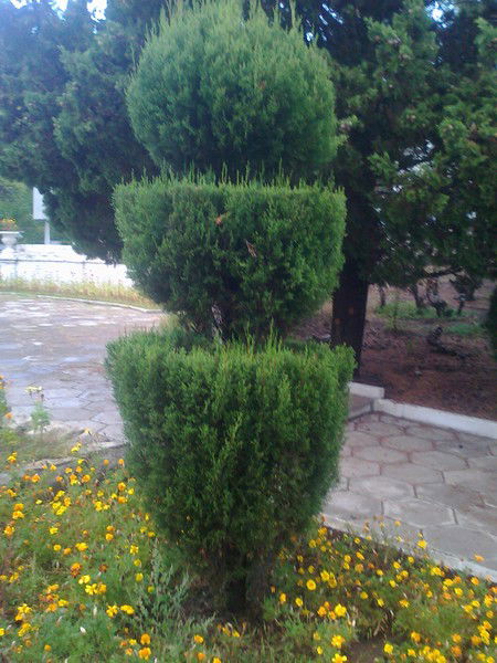 Ольга Павленко