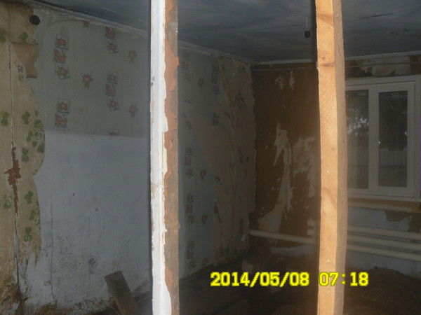 Алёна Левенец