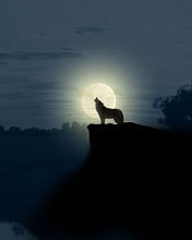 Николай Терновой