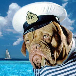 Костя Пальшин