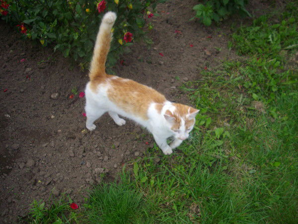 Татьяна Красильникова