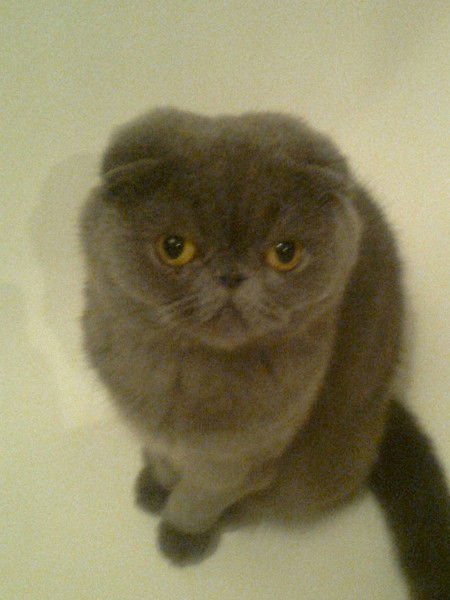 Оксана Буханик