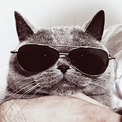 Дарья Тимченко