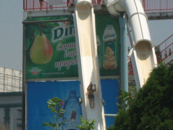 Светлана 216546133