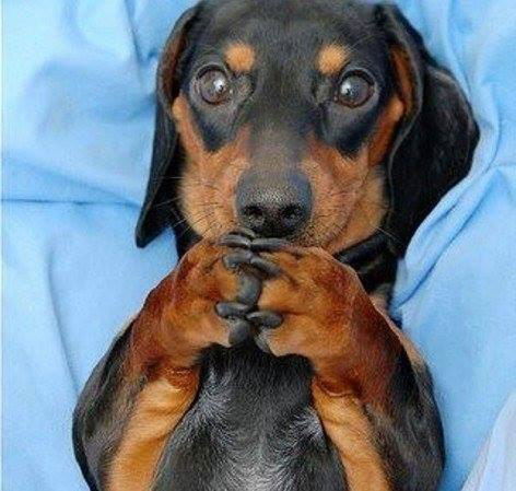 Серега Белый