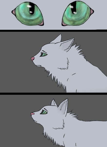 Трилистовая Звезда Lt