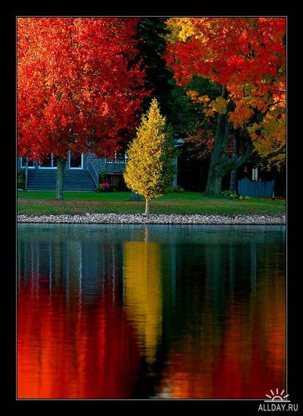 Олеся (Леся)