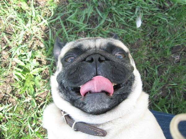 Катя Николаева