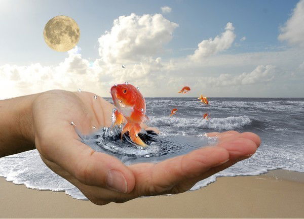 Соня Лазгиева