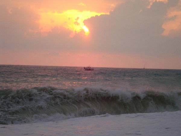 Андрей Ковалевич