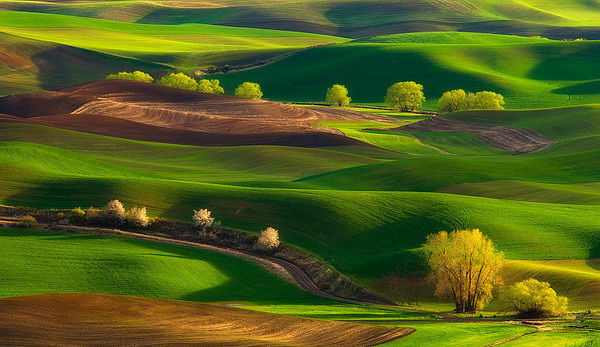 Азимова Гузеля