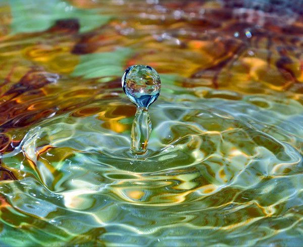 Андрей Некрасов