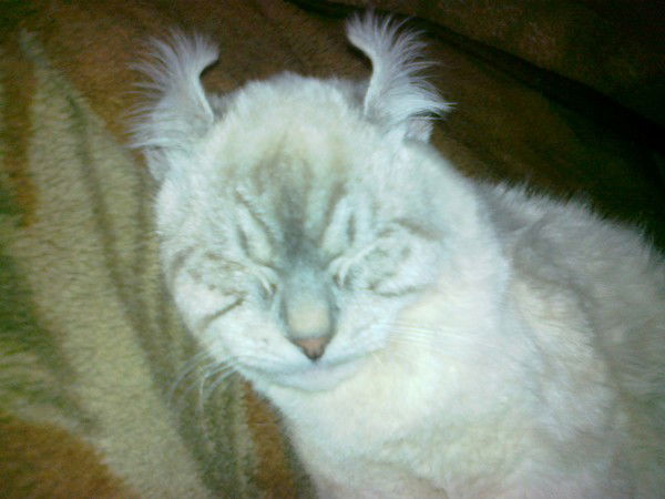 Сергей Телегин