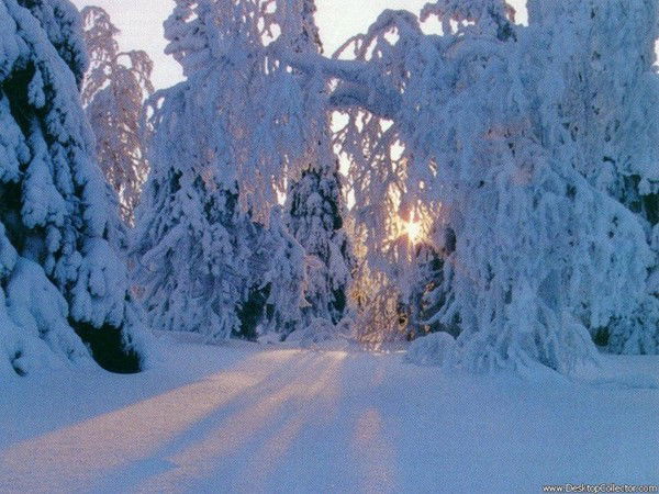 Юлия Калугина