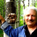 Николай Куликаев