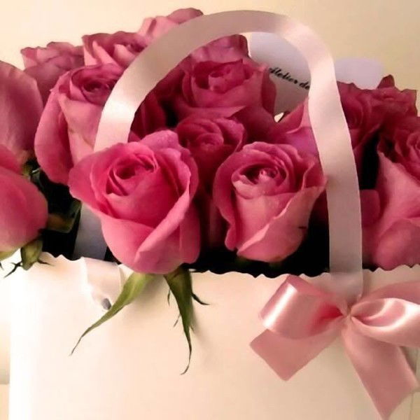 Екатерина Степанова