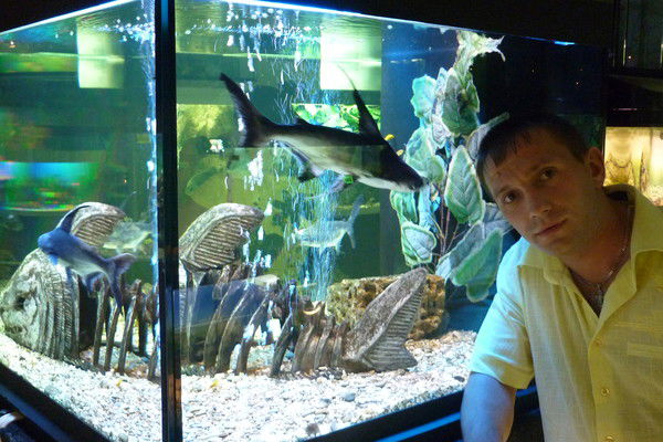 Максим Быков