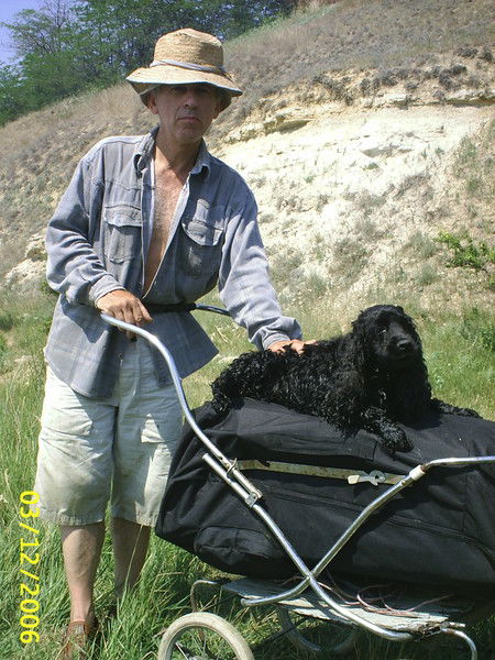 Владимир Тарнавский