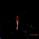 Амир Кукеев