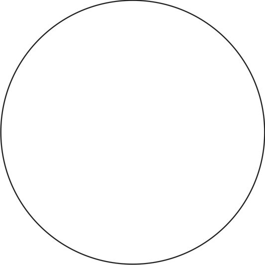 Илья Фурсов