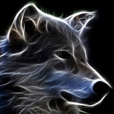 Ирина Долгих