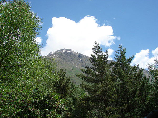 Алексей )))))