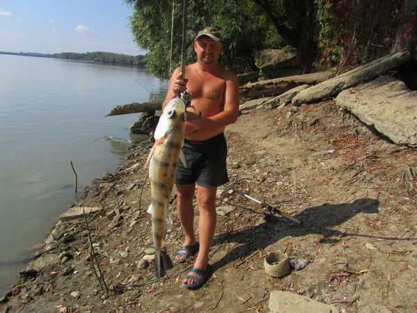 Григорий Раевский