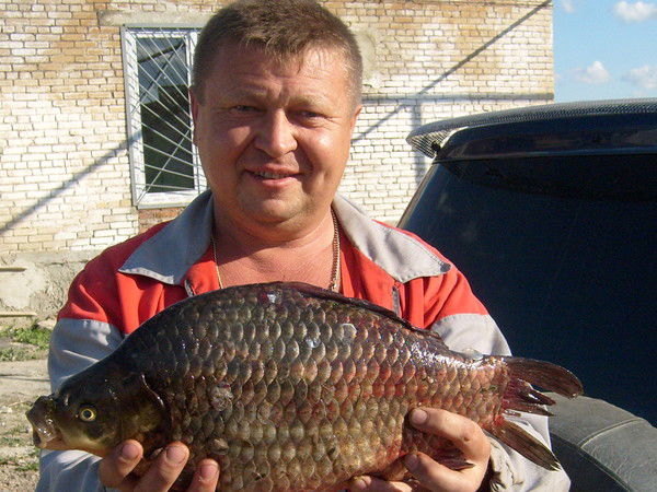 Юрий Албузов