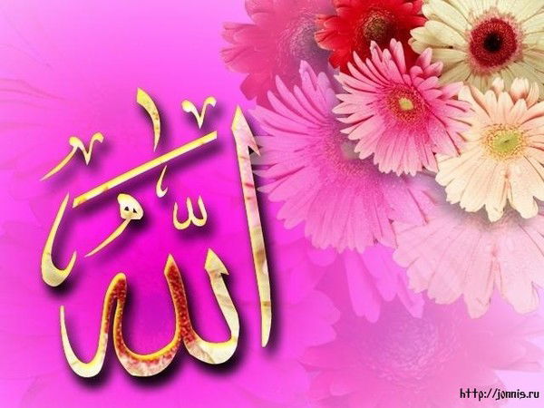 А Л И Я !!!!!!!!