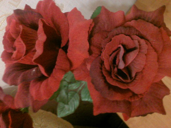 Наталья Шакула