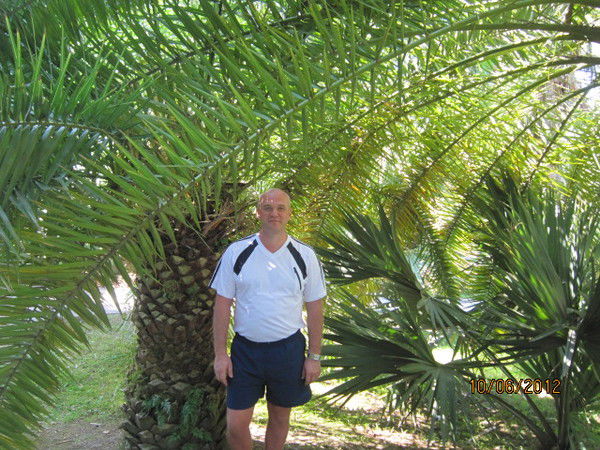 Сергей Зверев