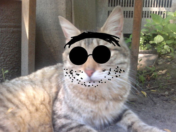 Павел Шевченко