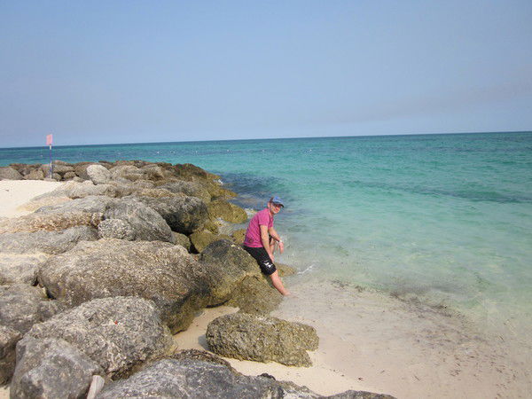 Алексей Волков