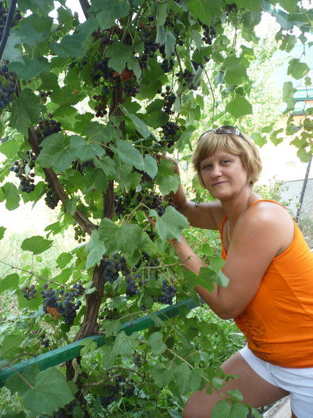 Татьяна Владимирова